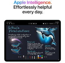 Load image into Gallery viewer, Apple iPad Air 13-inch M4
